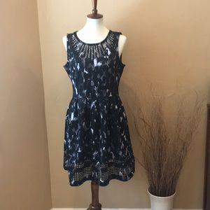 NWT, Cute black, gray and white dress!